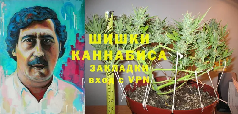 МАРИХУАНА SATIVA & INDICA  Шагонар 